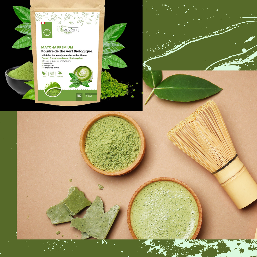 Matcha vs Café : Quelle boisson pour une énergie saine et durable ?