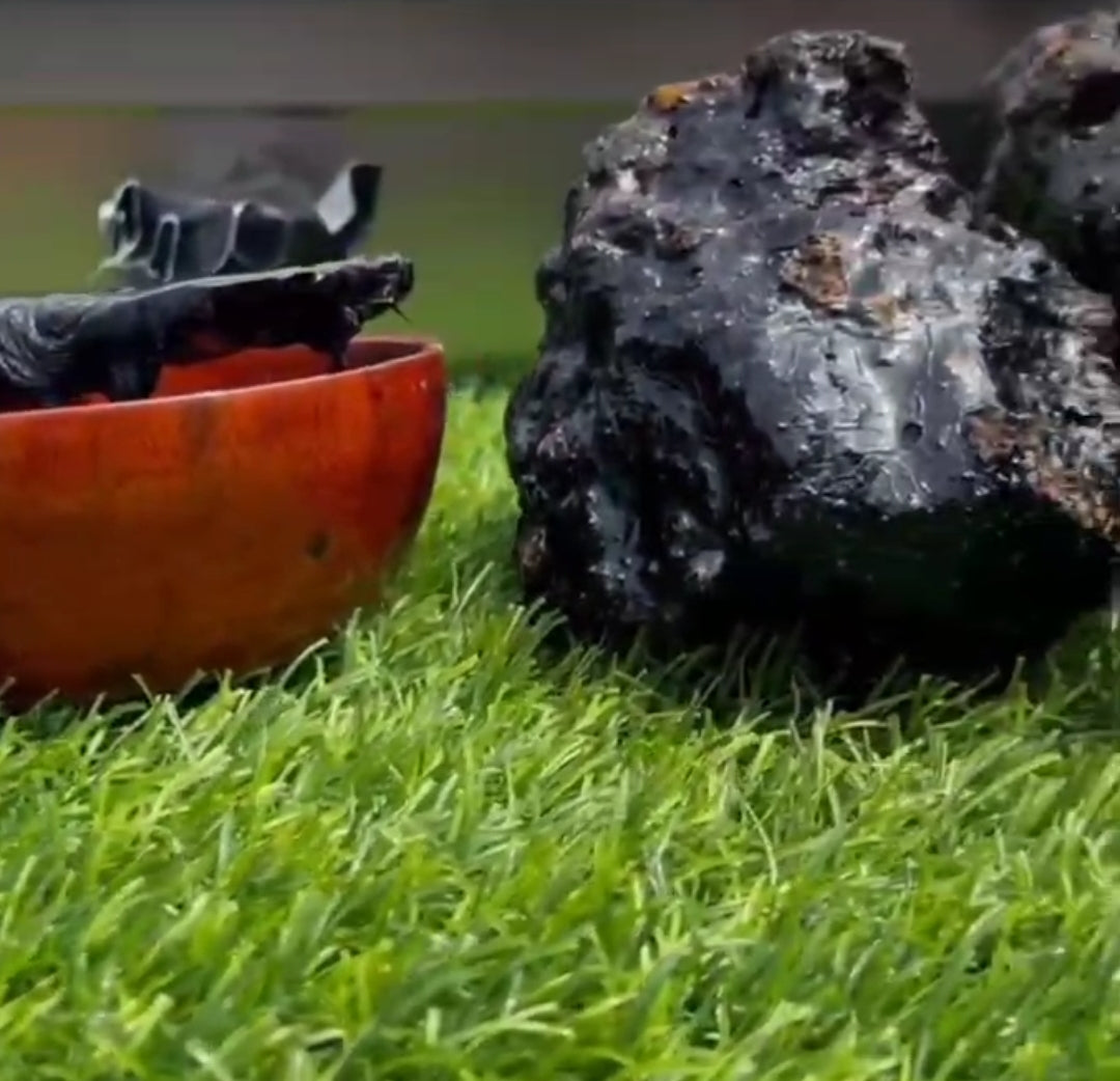 Shilajit Résine Himalaya – Énergie & Vitalité | Ebotanique - Cameroun