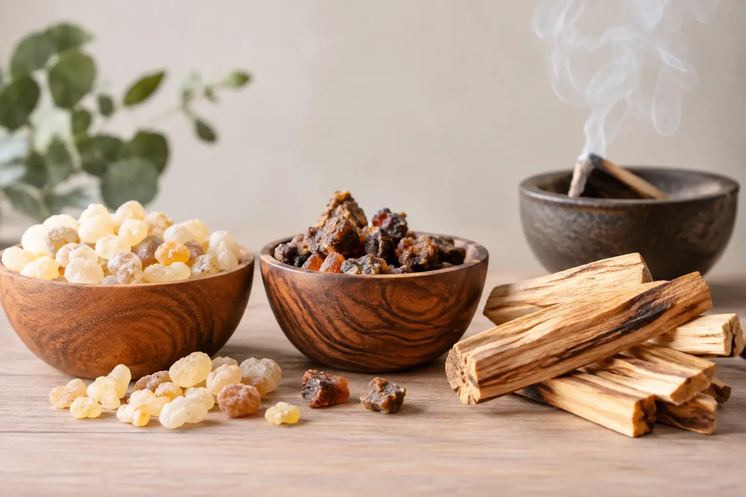 Oliban, myrrhe, palo santo : quel encens choisir ?