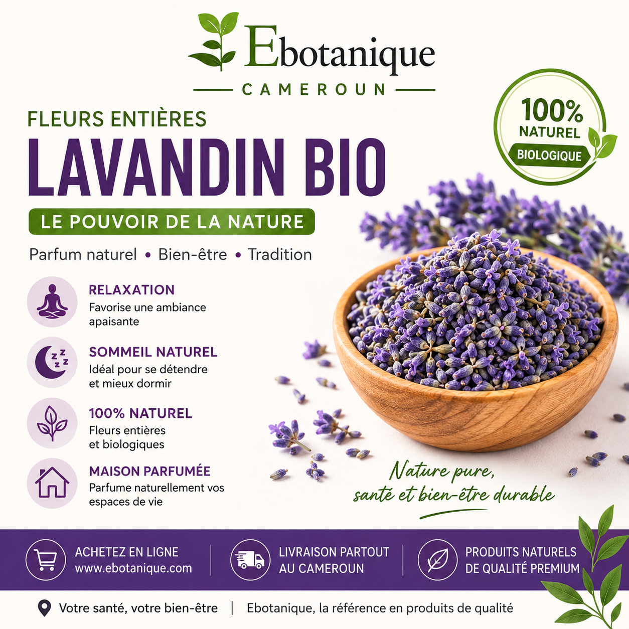 Lavandin Bio : Bienfaits et Où Acheter au Cameroun | Ebotanique