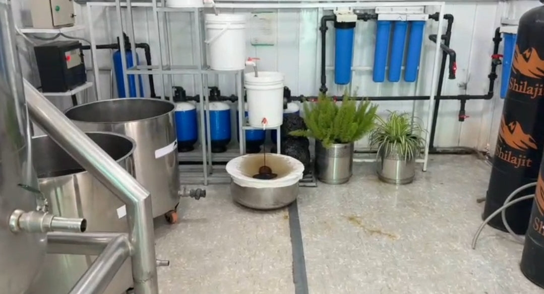 Shilajit Himalaya – Énergie & Libido | Ebotanique - Cameroun