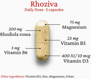 Rhodiola Rosea, fatigue mentale et l'anxiété.  60 gélules