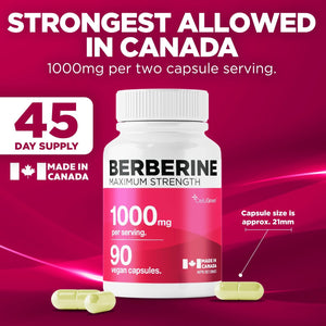 Complement alimentaire - Berbérine 1000 mg | Cholestérol, métabolisme du glucose