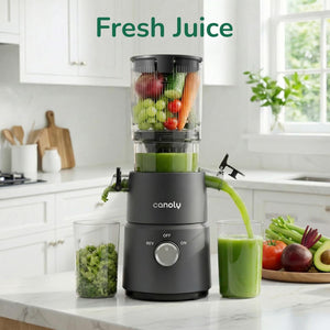 électroménager| Extracteur de jus,  presse fruits et légumes à froid, 200 W