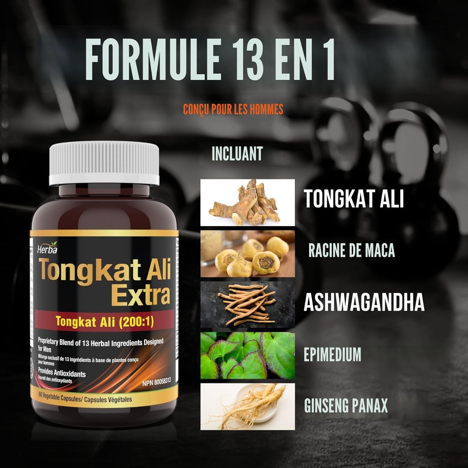 Herba Tongkat Ali  - vitalité masculine.  Extrait 200:1  - de 10 000 mg | 60 gélules végétales