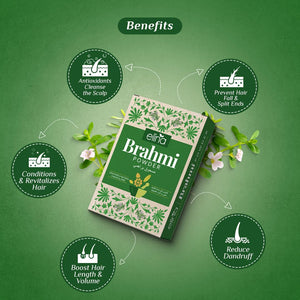 La poudre de Brahmi | Plante sacrée  pour le soin des cheveux
