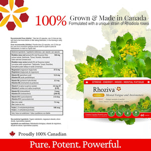 Rhodiola Rosea, fatigue mentale et l'anxiété.  60 gélules