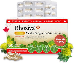 Rhodiola Rosea, fatigue mentale et l'anxiété.  60 gélules