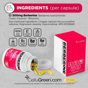 Complement alimentaire - Berbérine 1000 mg | Cholestérol, métabolisme du glucose