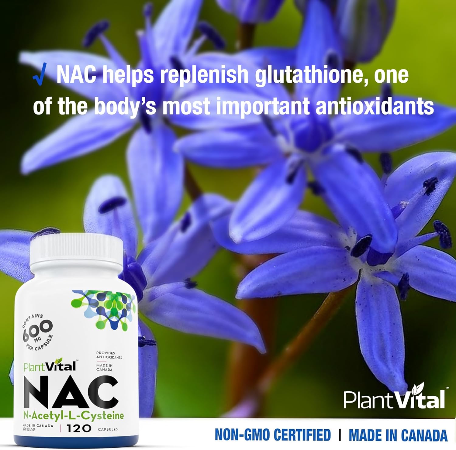 Complément alimentaire NAC Force maximale 600 mg