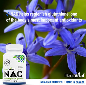 NAC Force maximale 600 mg