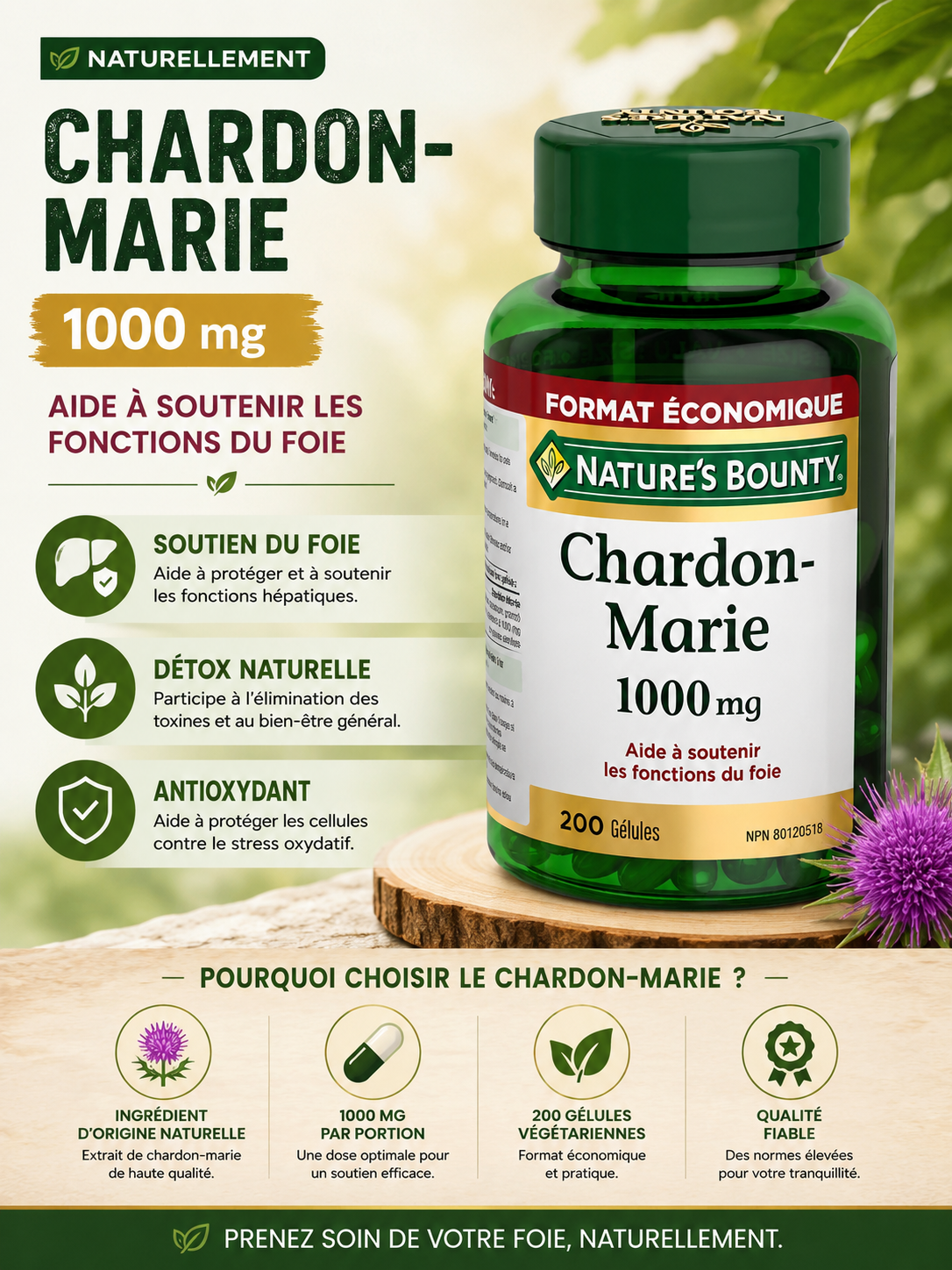 Complement alimentaire | Chardon-Marie, 1 000 mg, soutenir la fonction hépatique, Protecteur du foie  200 gélules molles