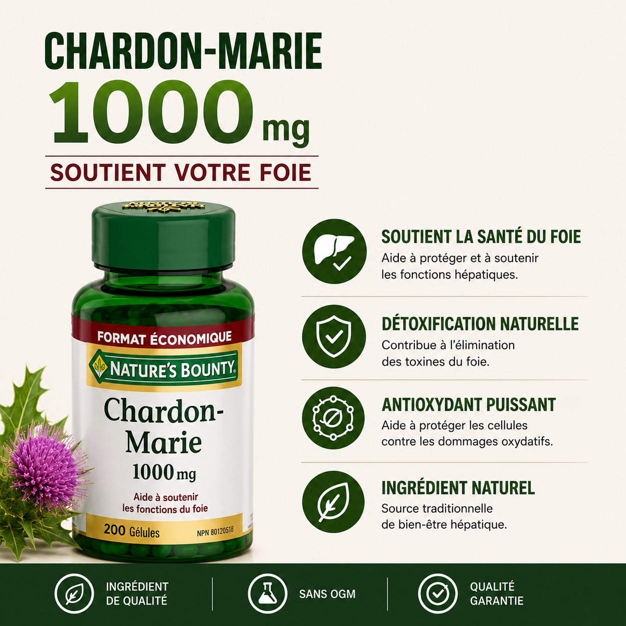 Complement alimentaire | Chardon-Marie, 1 000 mg, soutenir la fonction hépatique, Protecteur du foie  200 gélules molles