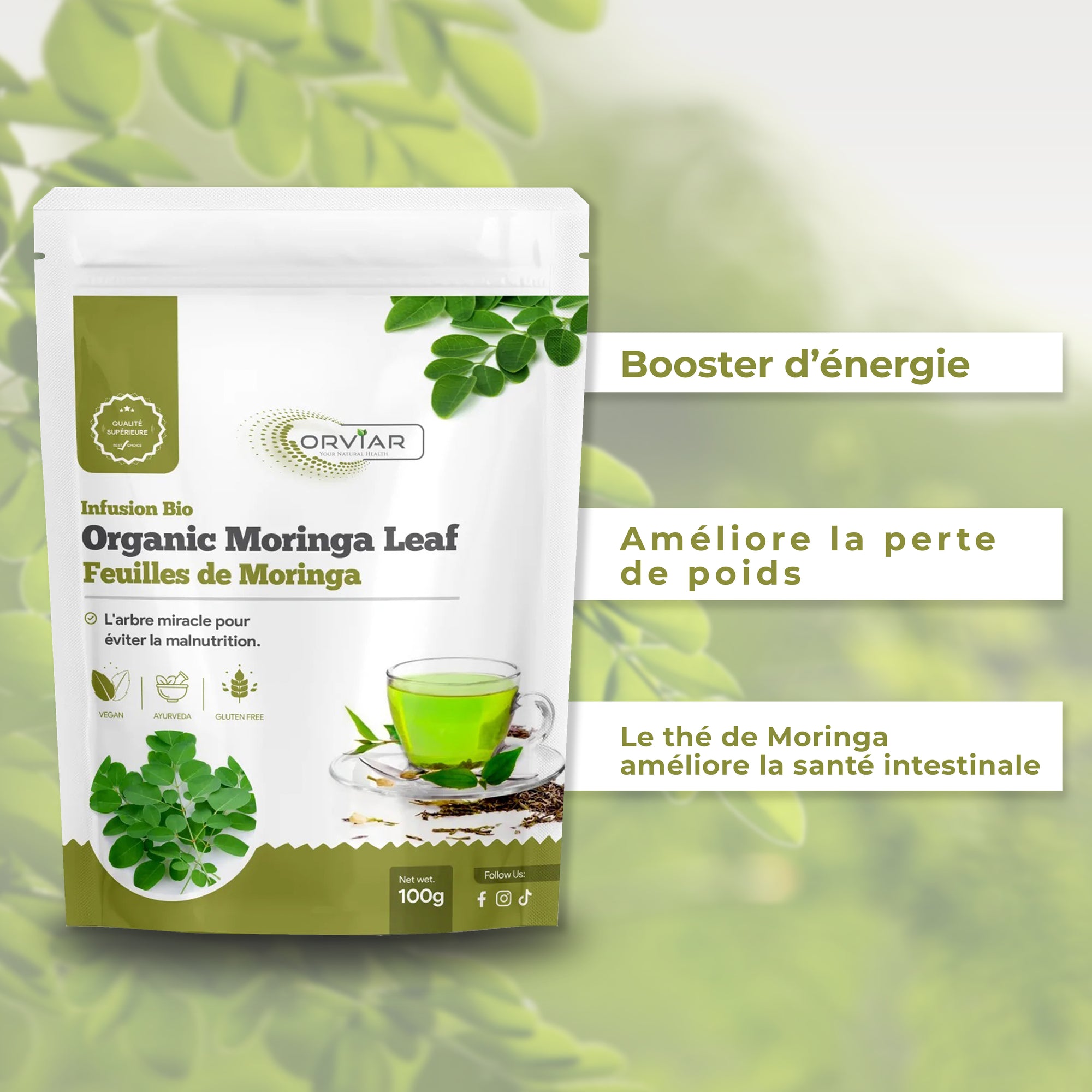 Thé de moringa, Moring feuilles Bio  - Moringa oleifera | Ebotanique