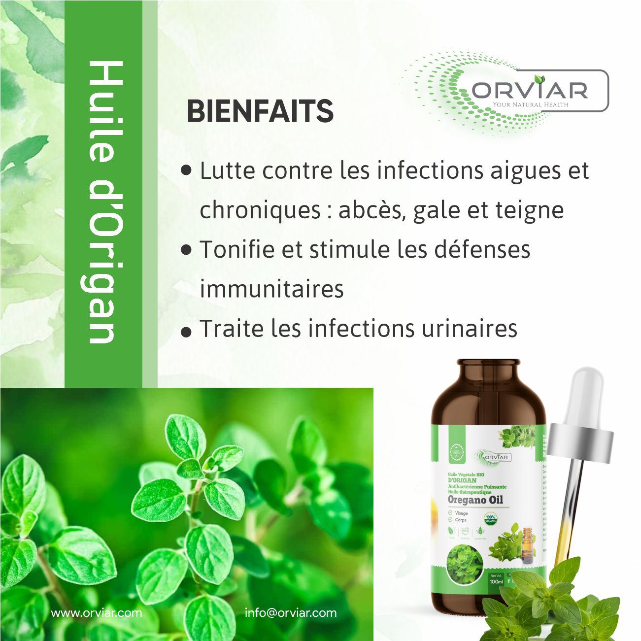 Huile d'origan BIO - Lutte contre les infections aiguës et chroniques: gale, mycoses, teigne, abcès.