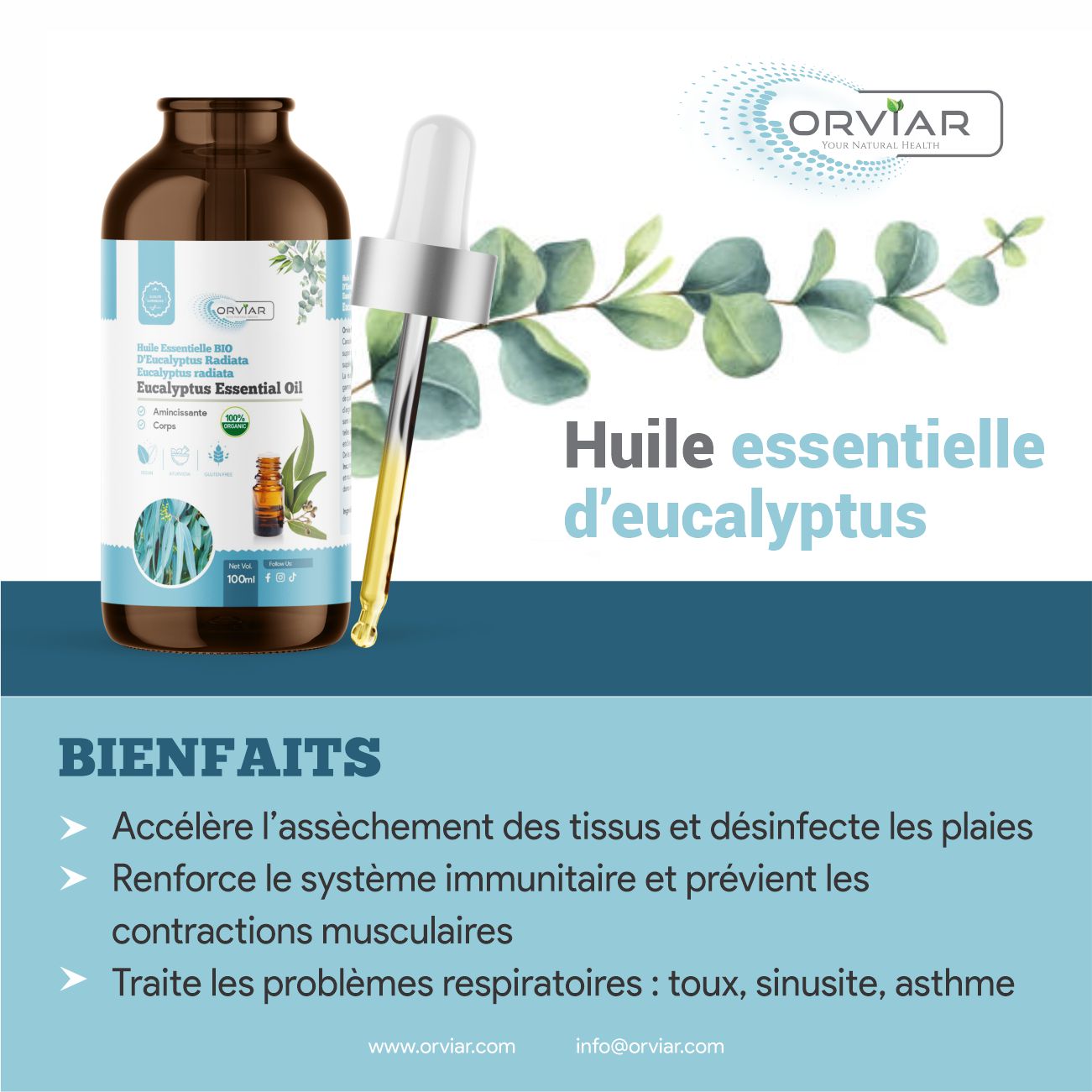 Huile essentielle d’Eucalyptus - 100ml