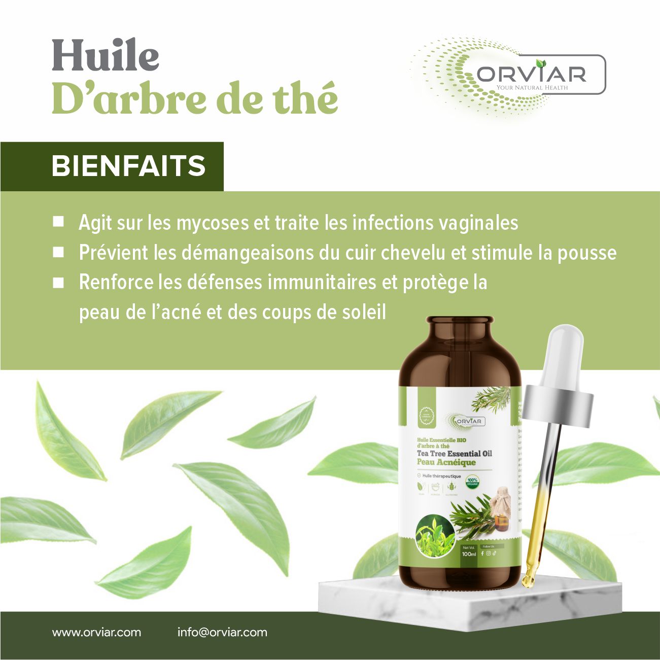 Huile essentielle d'Arbre à Thé Bio - Tea tree oil  - 100 ml