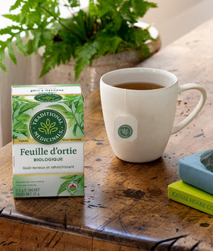 Traditional medicinals tisane des feuilles d'ortie