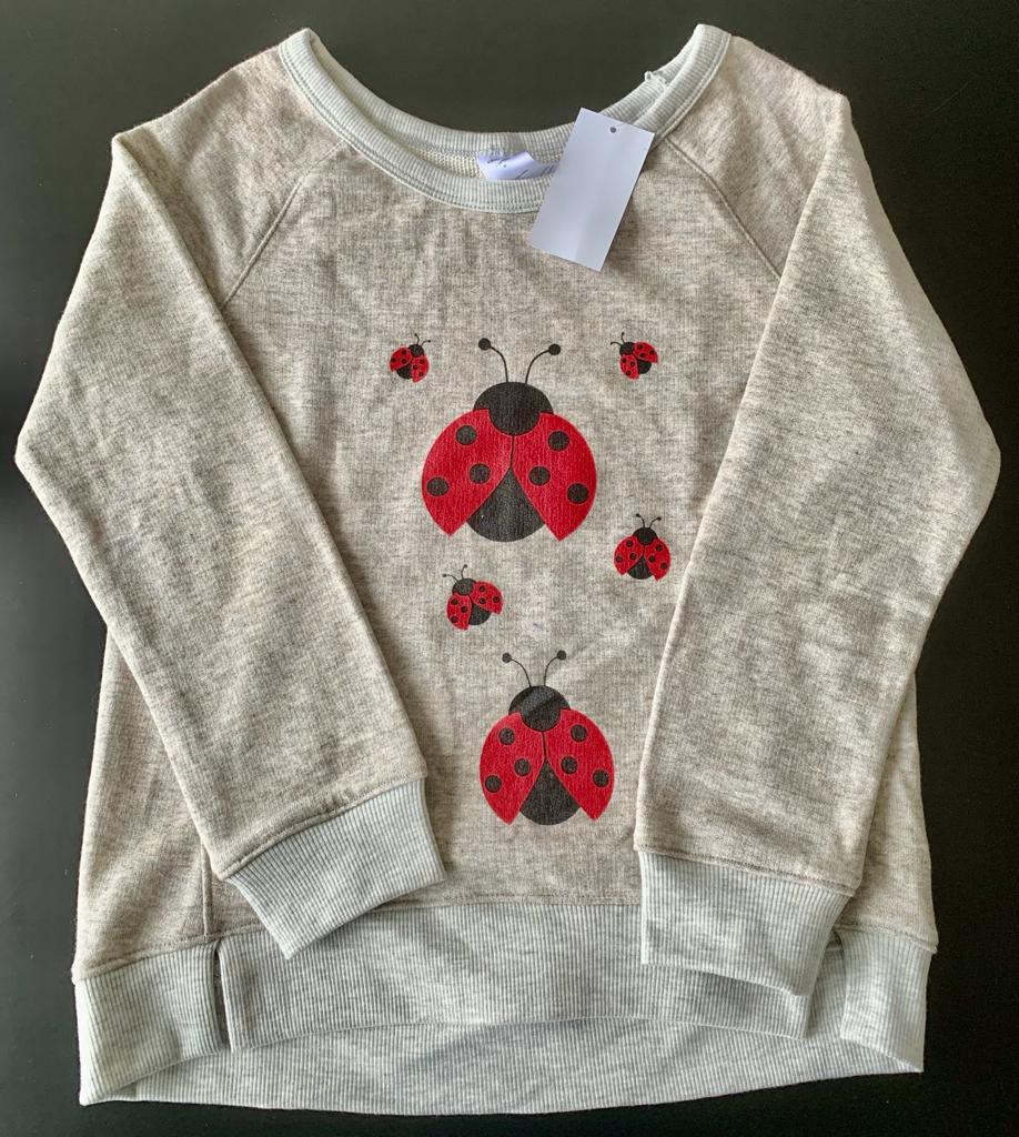 Shanshar pull over Coccinelle
