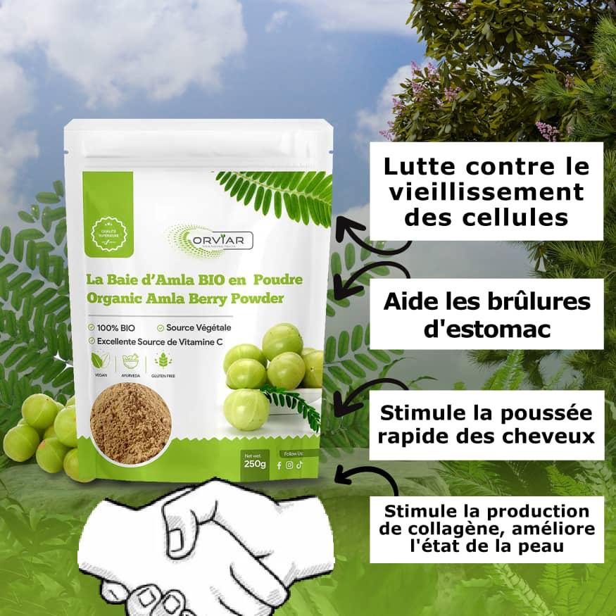 Poudre indienne d'Amla Baie  BIO - Ebotanique