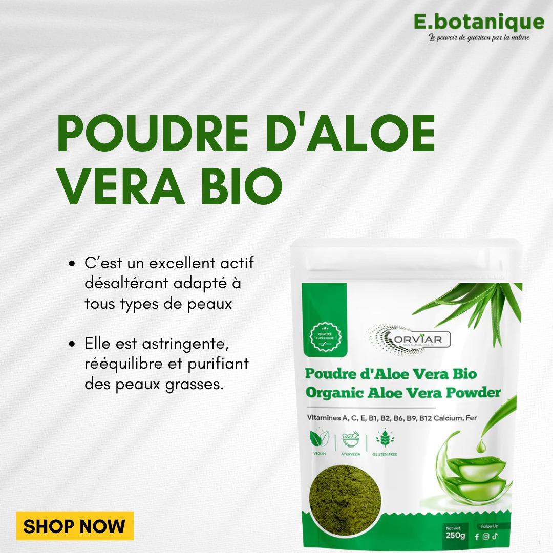 AloeVera Bio en poudre | Aloe Vera Leaf Powder | Cameroun - Ebotanique
