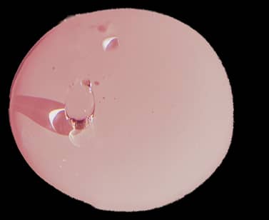 Serum COLLAGEN + VE, anti-âge, élasticité et rajeunissement de la peau