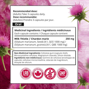 Complement alimentaire | Chardon-Marie,  Désintoxication hépatique, 1 000 mg.