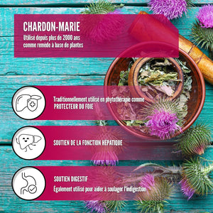 Complement alimentaire | Chardon-Marie,  Désintoxication hépatique, 1 000 mg.
