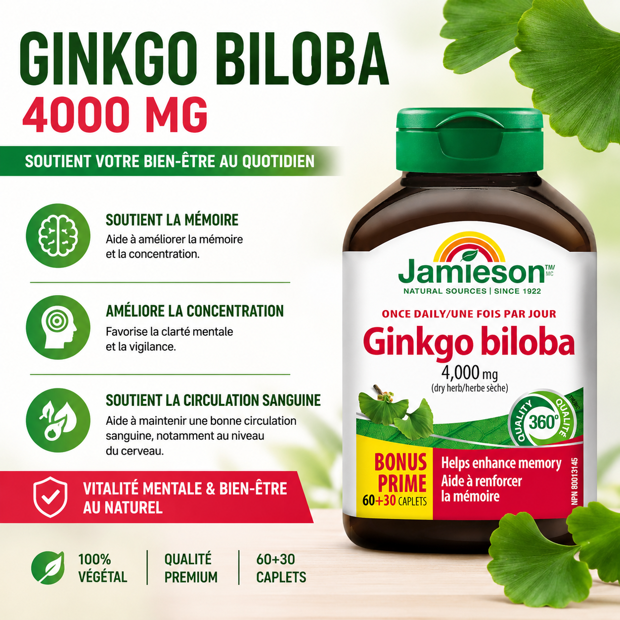 Complement alimentaire |Ginkgo Biloba 4 000 mg – Sans gluten, 90 sachets