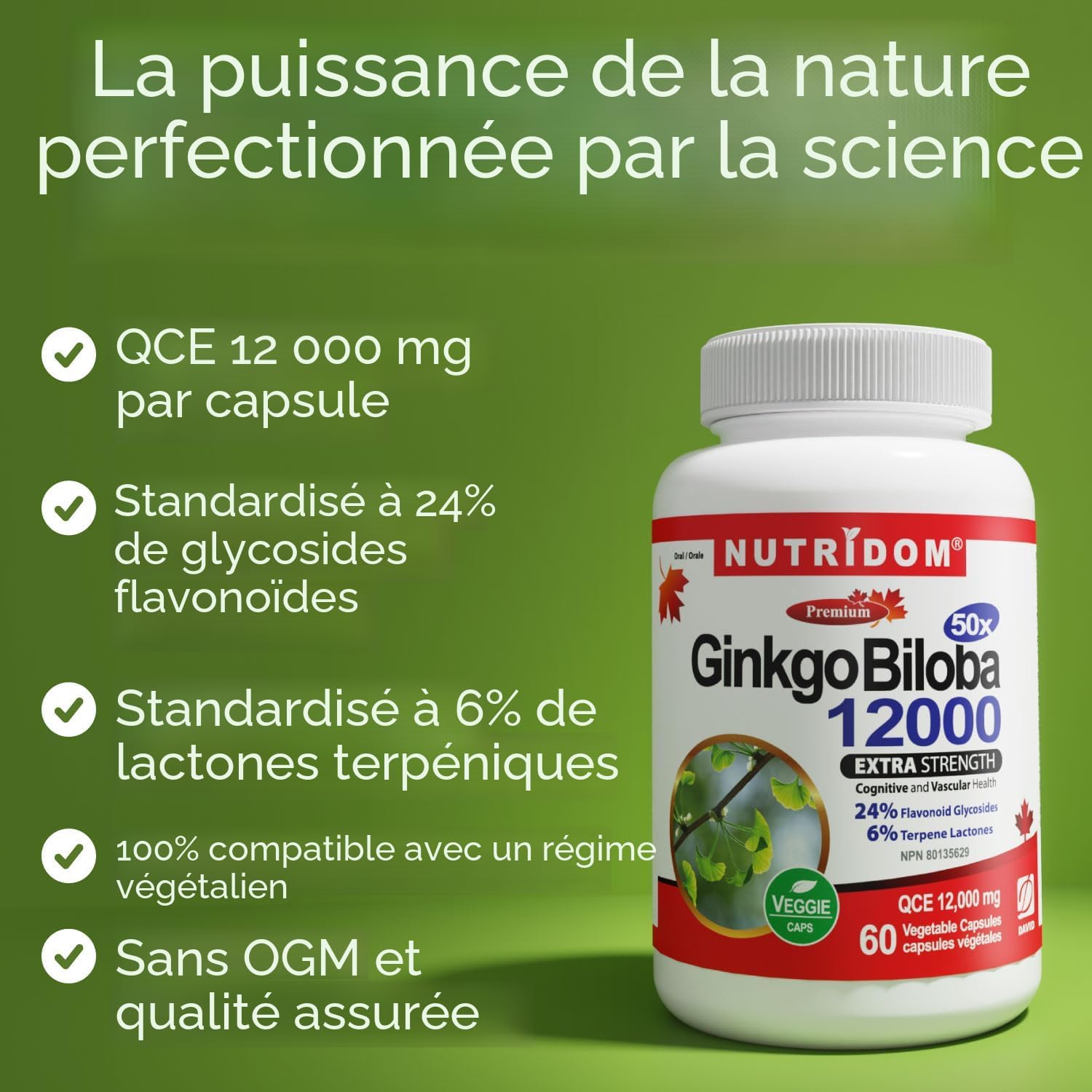 Complement alimentaire | Ginkgo Biloba 12 000 mg - Extra fort  , 60 gélules