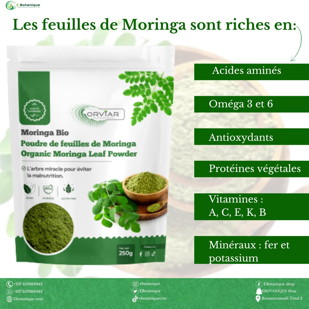 Poudre de feuille de Moringa | Moringa Powder | Cameroun - Ebotanique