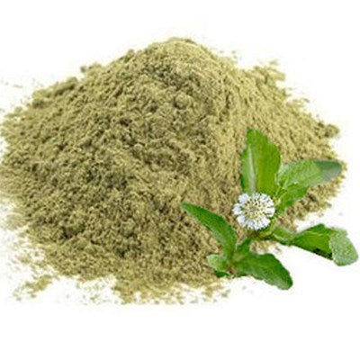 Poudre Indienne Bhringraj | Chute capillaire | Cameroun - ebotanique