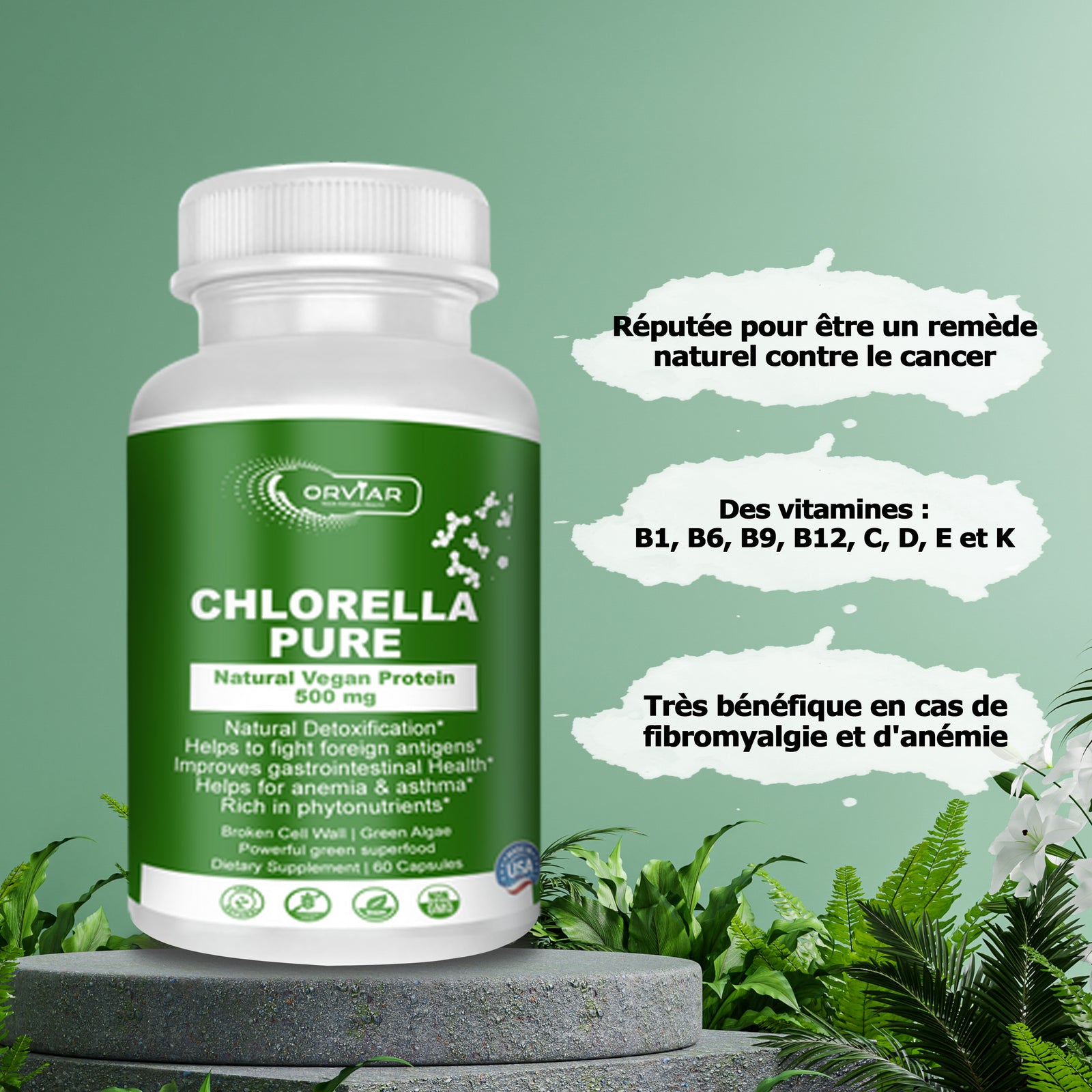 Chlorelle Pure  500 MG - détoxification de l'organisme. - ebotanique