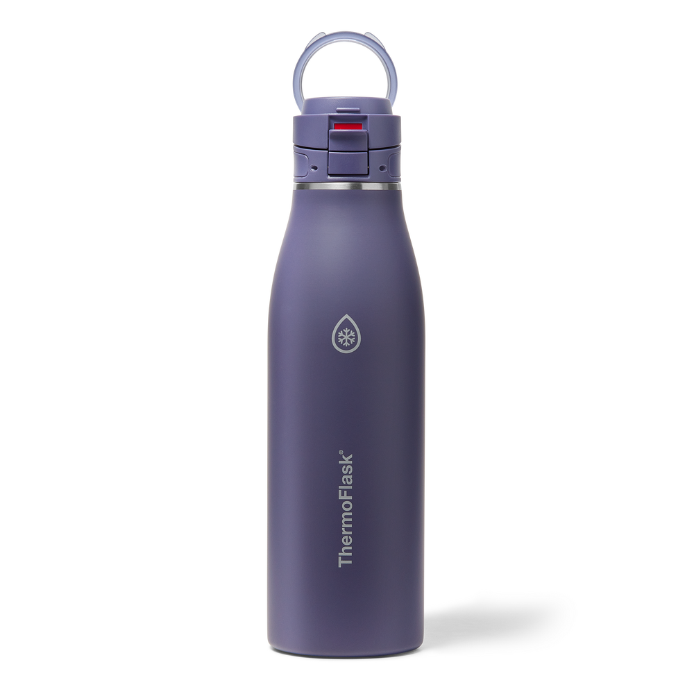Cuisine| Bouteille isotherme à double paroi sous vide, 740 ml/25 oz Violet