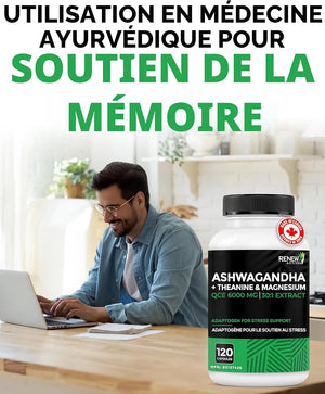 Complément Alimentaire Ashwagandha 6000 mg + Théanine, Magnésium