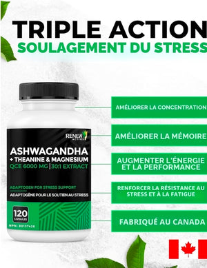 Complément Alimentaire Ashwagandha 6000 mg + Théanine, Magnésium