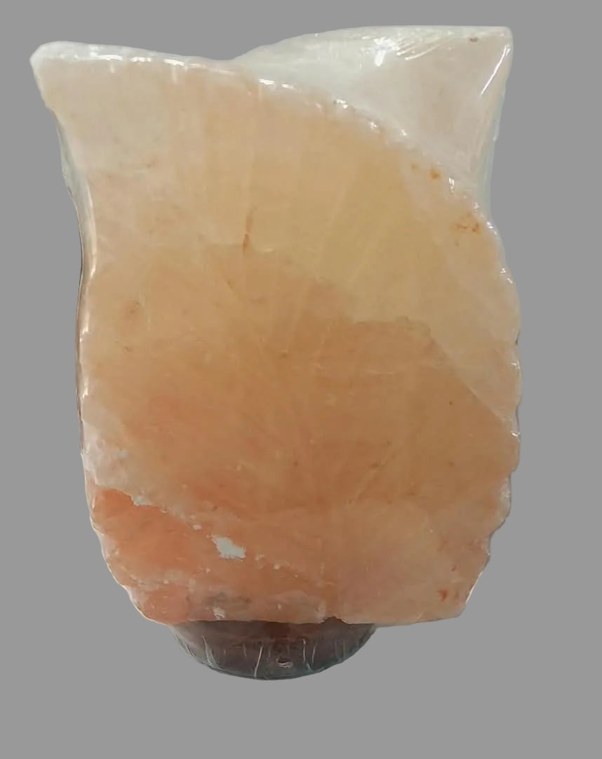 Lampe de sel d’Himalaya -  Double Feuille