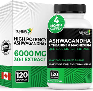 Complément Alimentaire Ashwagandha 6000 mg + Théanine, Magnésium