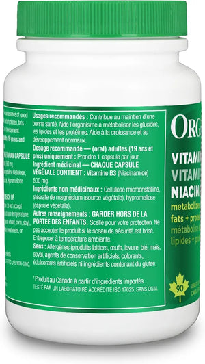Complement Alimentaire B3 Niacinamide  90 Cap | Ebotanique Cameroun