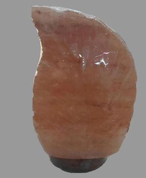 Lampe de sel d’Himalaya -  Feuille