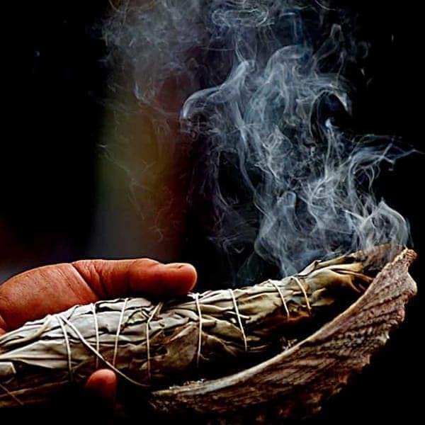 Sauge Blanche de Californie (White Sage) - Purification, Protection et Déblocage Énergétique