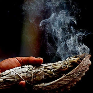 Sauge Blanche de Californie (White Sage) - Purification, Protection et Déblocage Énergétique
