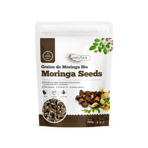 graine de moringa | Moringa seed | Cameroun - Ebotanique