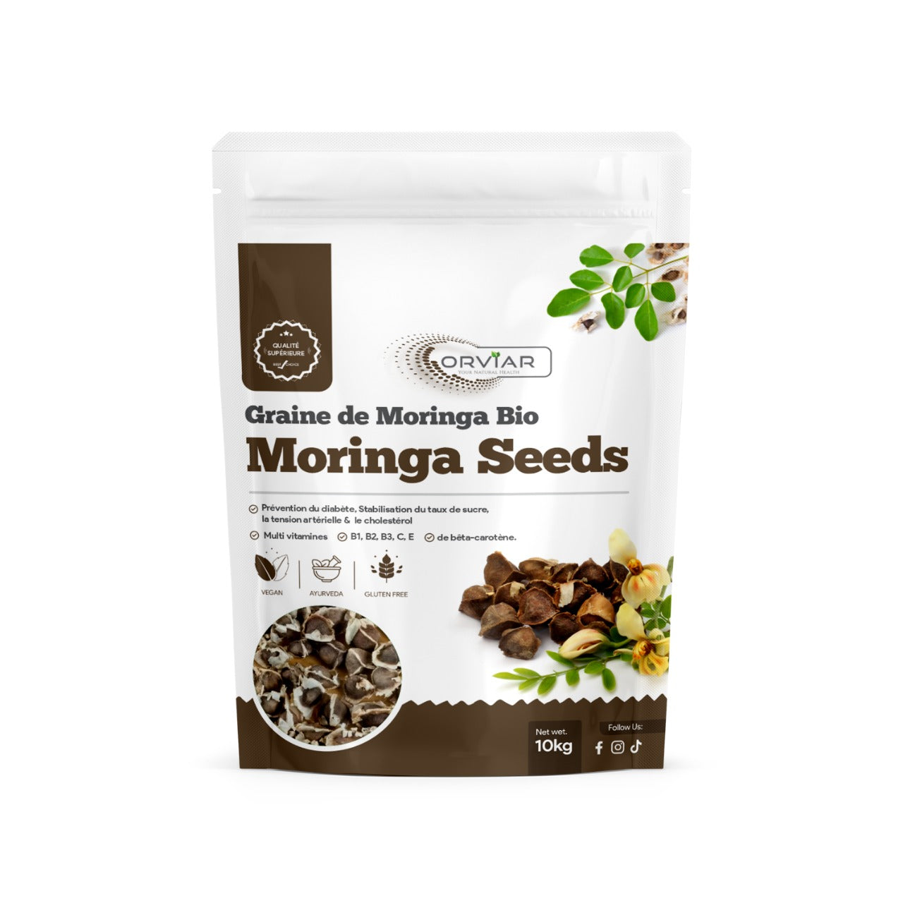 graine de moringa | Moringa seed | Cameroun - Ebotanique